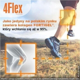 4 Flex o smaku czarnej porzeczki 30 saszetek