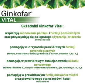 Ginkofar Vital 60 tabletek