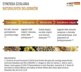HOT-PLAST FORTE Plastry Rozgrzewające 12cmx18cm 1sztuka