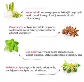 Lactosan Fix Herbapol 20 saszetek