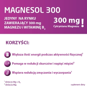 Magnesol 300 20 saszetek