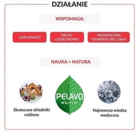Pelavo Multi 6+ przeziębienie i grypa 120 ml