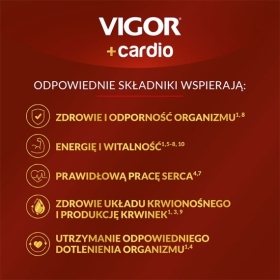 VIGOR+ CARDIO 1000 ml