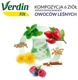 Verdin FIX z Owocami leśnymi 20 saszetek
