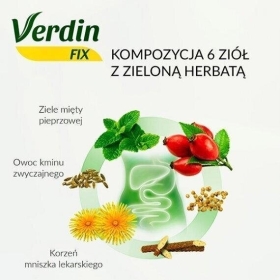 Verdin Fix z zieloną herbatą 20 saszetek