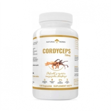 ALTO Cordyceps 750 mg 120 kapsułek