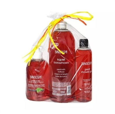 BINGOSPA Zestaw 5 żel 300 ml + mydło 500 ml + kąpiel borowinowa 1000 ml