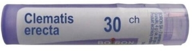 BOIRON Clematis Erecta 30 CH granulki 4g