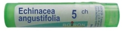 BOIRON Echinacea Angustifolia 5 CH granulki 4g