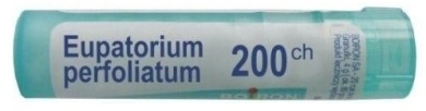 BOIRON Eupatorium Perfoliatum 200 CH granulki 4g