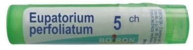 BOIRON Eupatorium Perfoliatum 5 CH granulki 4g
