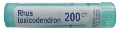 BOIRON Rhus Toxicodendron 200 CH granulki 4g