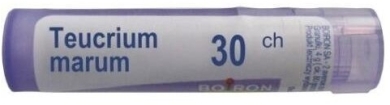 BOIRON Teucrium Marum 30 CH granulki 4g