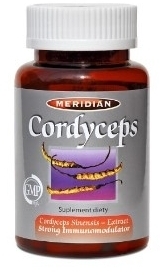 Cordyceps 60 kapsułek