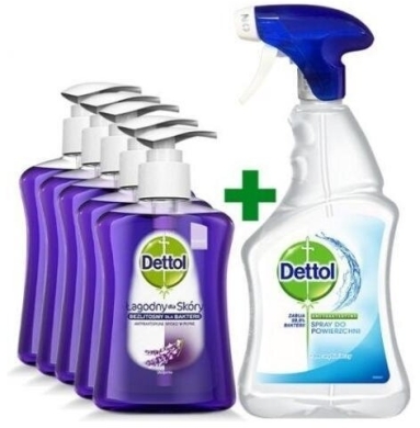 Dettol Antybakteryjne mydło w płynie Ukojenie - 5 x 250 ml + Dettol Antybakteryjny spray 500 ml