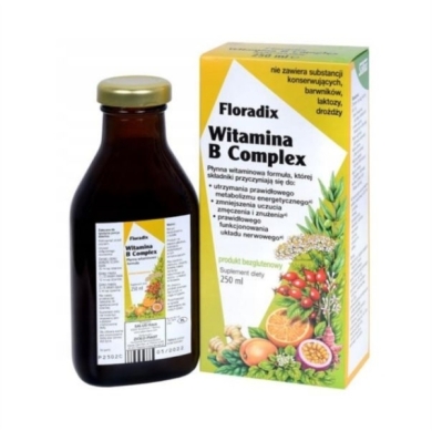Floradix Witamina B Complex płyn 250 ml