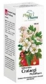 Intractum Crataegi płyn doustny 100 ml