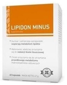 Lipidon Minus 60 kapsułek
