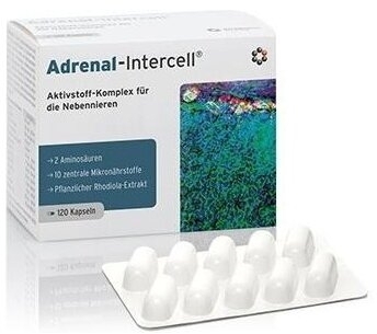 MITO-PHARMA Adrenal-Intercell 120 kapsułek