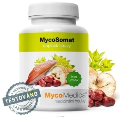MycoMedica MycoSomat N 90 kapsułek