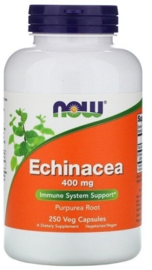 NOW FOODS Echiancea Jeżówka Purpurowa 400 mg 250 kapsułek