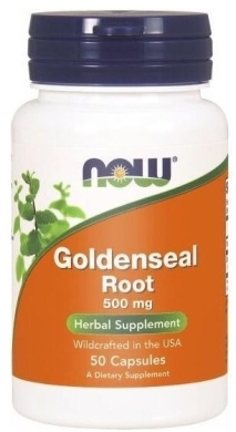 NOW FOODS Goldenseal Root 500 mg 50 kapsułek