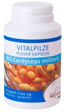 Vitalpilze Grzyby Cordyceps 100 kapsułek