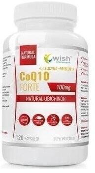 Wish Koenzym Q10 Forte 100mg 120 kapsułek
