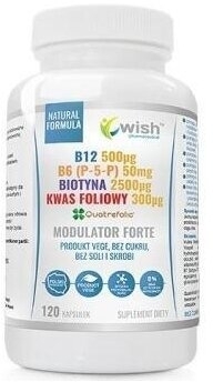 Wish Modulator Homocysteiny Forte 120 kapsułek