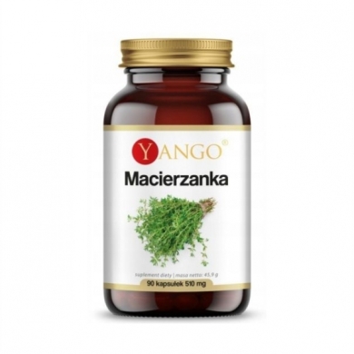 YANGO Macierzanka 90 kapsułek