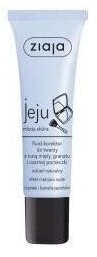 ZIAJA JEJU Fluid-korektor do twarzy 30 ml