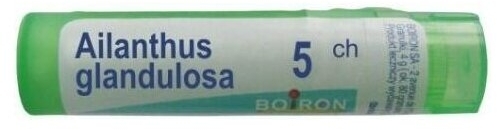 BOIRON Ailanthus glandulosa 5 CH granulki 4g