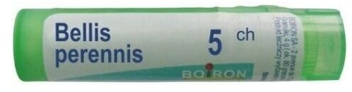 BOIRON Bellis Perennis 5 CH granulki 4g