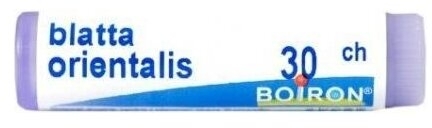 BOIRON Blatta Orientalis 30 CH granulki 1g