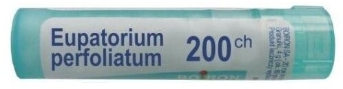 BOIRON Eupatorium Perfoliatum 200 CH granulki 4g