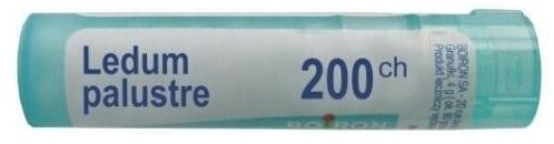 BOIRON Ledum Palustre 200 CH granulki 4g
