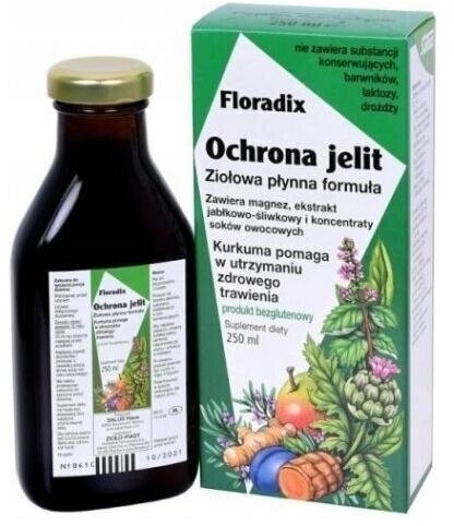 Floradix Ochrona Jelit Płyn 250 ml