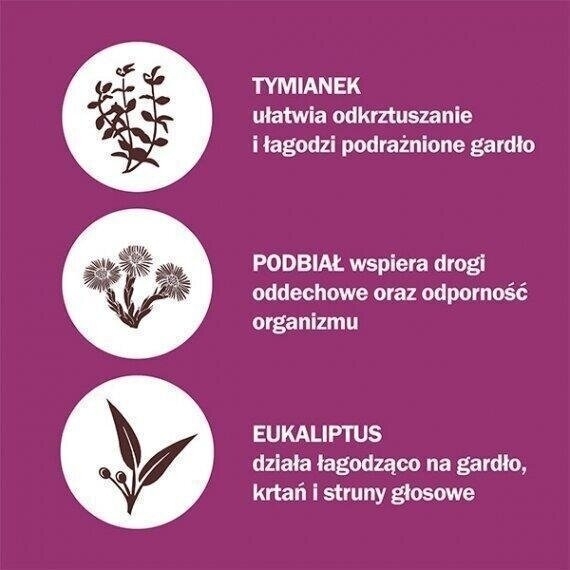 Herbitussin Tymianek i Podbiał Pastylki 12