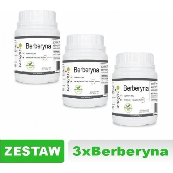 Kenay Berberyna 3 x 300 kapsułek