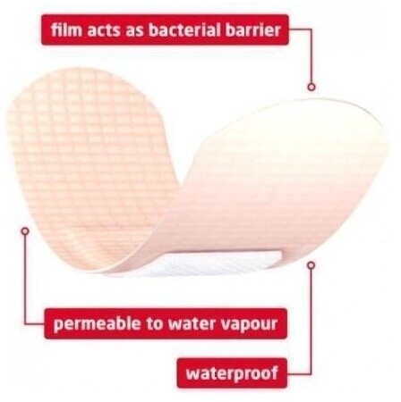 Leukoplast Barrier Plaster 20 sztuk