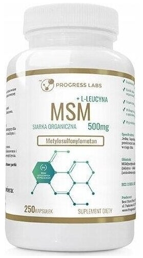 PROGRESS LABS MSM Siarka Organiczna 500 mg + L-leucyna 250 kapsułek (Data ważności 29.02.2024)